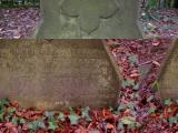 image of grave number 174389
